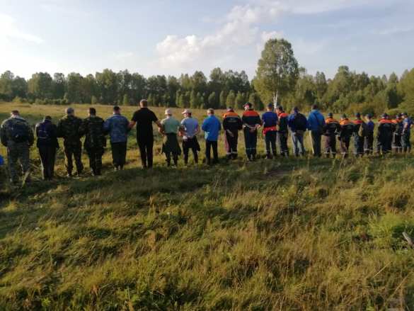 СРОЧНО: Масштабные поиски завершены, в нижегородском лесу нашли пропавшую ранее пятилетнюю девочку (ФОТО, ВИДЕО) | Русская весна