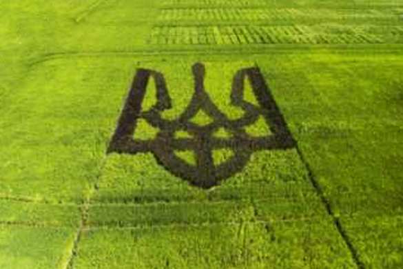 Большой передел Украины: Киев против своего народа (ФОТО) | Русская весна