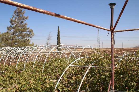 Командир сирийского ополчения: Российская операция очень стремительна и успешна (ФОТО) | Русская весна