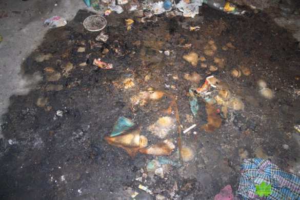 В Одессе Потемкинская лестница стала прибежищем бомжей (ФОТО) | Русская весна