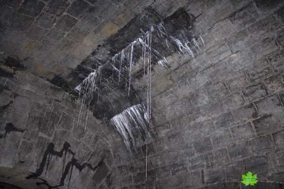 В Одессе Потемкинская лестница стала прибежищем бомжей (ФОТО) | Русская весна