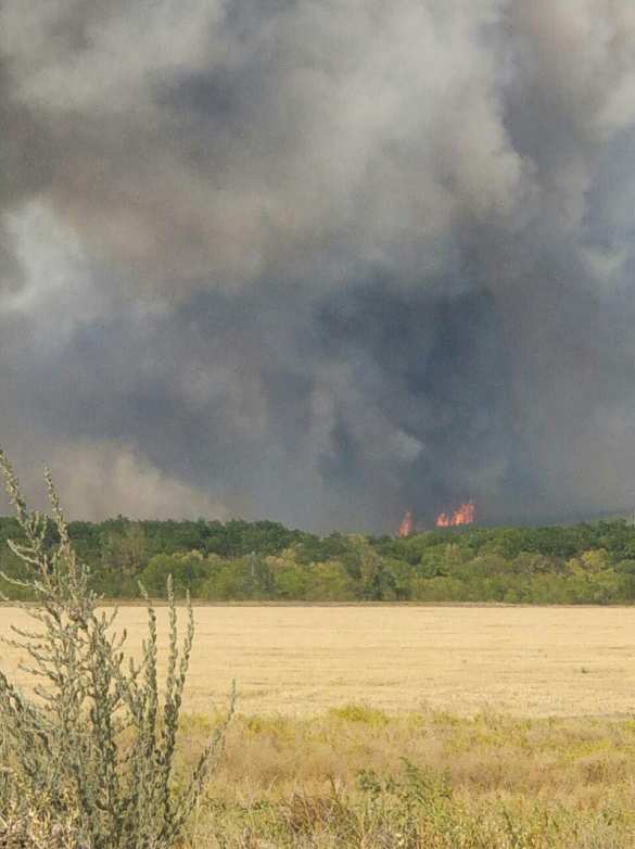 Огонь выше леса: взрыв склада с боеприпасами ВСУ (ФОТО) | Русская весна
