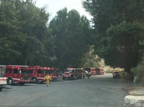 Калифорния пылает: эвакуированы тысячи людей (ФОТО, ВИДЕО) | Русская весна