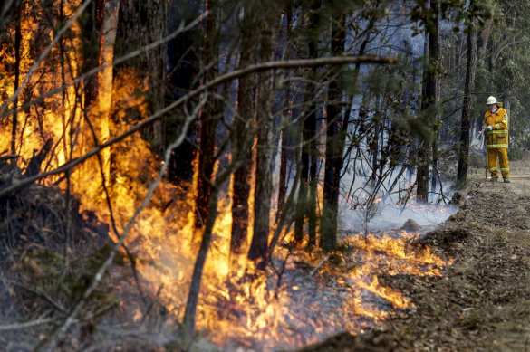 Чудовищные пожары: дым виден из космоса, миллиард животных погиб в Австралии (ФОТО, ВИДЕО) | Русская весна
