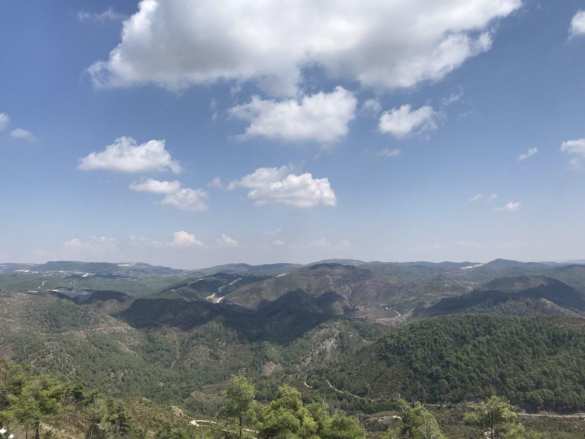 На границе тучи ходят хмуро: в сирийской Латакии боевиков прикрывает армия Турции (+ВИДЕО, ФОТО) | Русская весна