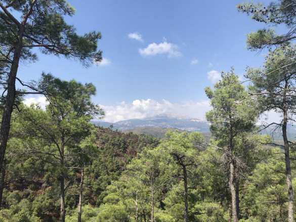 На границе тучи ходят хмуро: в сирийской Латакии боевиков прикрывает армия Турции (+ВИДЕО, ФОТО) | Русская весна