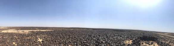 Ад в чёрной пустыне: ВКС и армия Сирии выжигают боевиков (+ВИДЕО, ФОТО 18+) | Русская весна