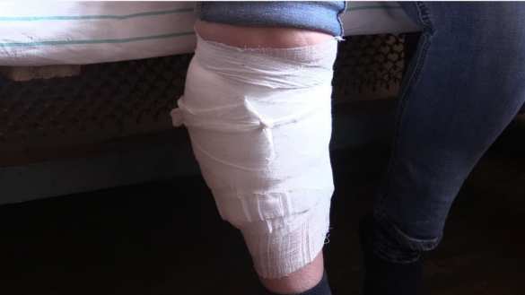 Армия ЛНР сообщила о новом преступлении ВСУ (+ВИДЕО, ФОТО) | Русская весна