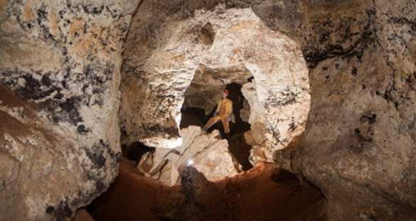 Саблезубый кот Таврик и семья мамонтов: учёные рассказали об уникальных находках в крымской пещере (ФОТО) | Русская весна