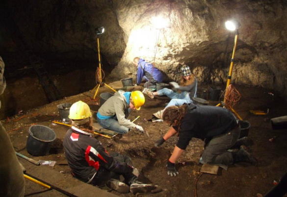 Учёные рассказали о ребёнке-неандертальце, съеденном птицей (ФОТО) | Русская весна