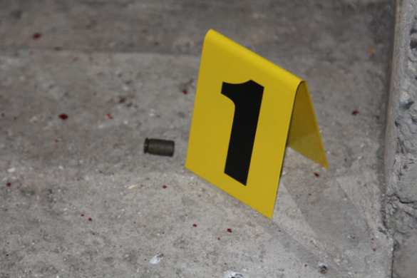 На Западной Украине убита адвокат — активистка Майдана (+ФОТО, ВИДЕО) | Русская весна