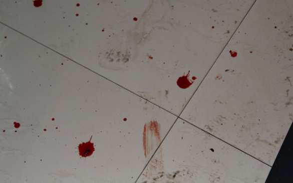 На Западной Украине убита адвокат — активистка Майдана (+ФОТО, ВИДЕО) | Русская весна