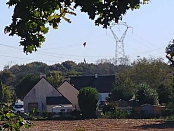 Истребитель ВВС Бельгии разбился во Франции (ФОТО) | Русская весна