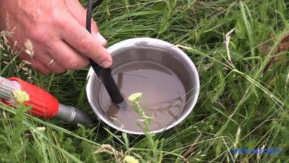 Экологическая катастрофа на Украине: отрава достигла крупных городов двух областей (ФОТО, ВИДЕО) | Русская весна