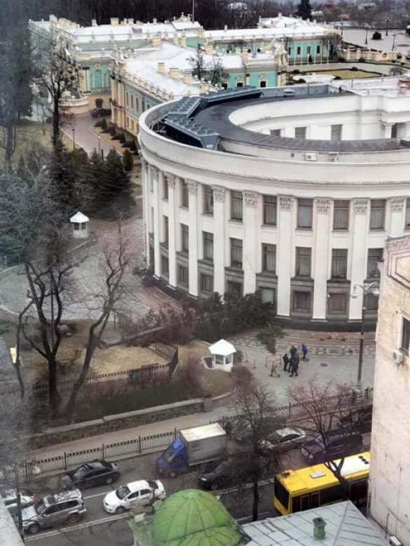 «Может, это знак?» — под зданием Рады рухнуло огромное дерево (ФОТО) | Русская весна