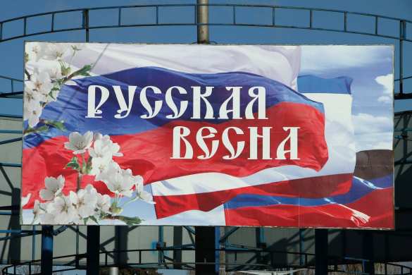 Донбасс войдёт в Россию, — Поклонская (ФОТО, ВИДЕО) | Русская весна