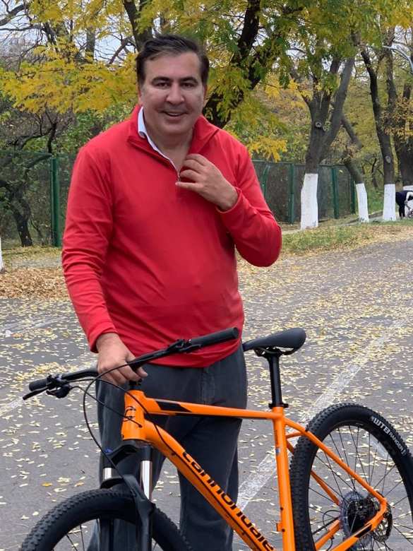 Весёлый Саакашвили нашёл мёртвого дельфина (ФОТО)  | Русская весна