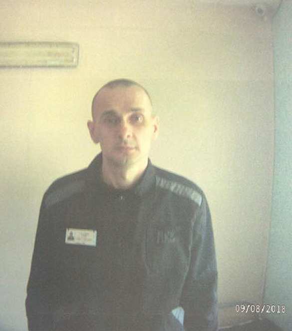 Опубликованы кадры с украинским террористом Сенцовым, «голодающим» 88-й день (ФОТО) | Русская весна