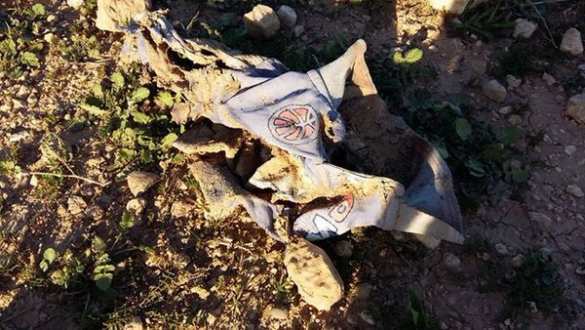 Геноцид в Синджаре: головорезы ИГИЛ убивали курдов всех возрастов — в освобожденном городе обнаружено массовое захоронение (ФОТО 18+) | Русская весна