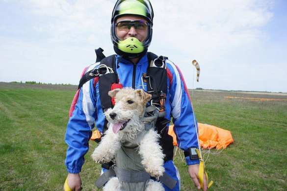 Опубликованы имена россиян, погибших при авиакатастрофе в Эфиопии (ФОТО, ВИДЕО) | Русская весна