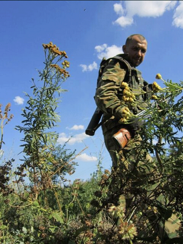 Сводка из Шахтёрска: спецназ Стрелкова защищает город | Русская весна