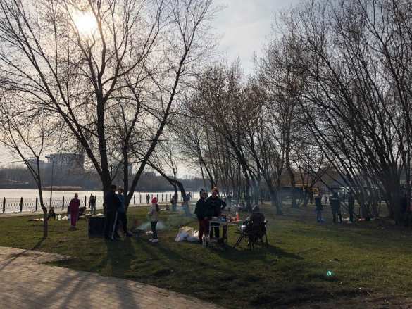 Власти увидели «шашлычки», или Почему в борьбе с коронавирусом нужны самые суровые меры | Русская весна