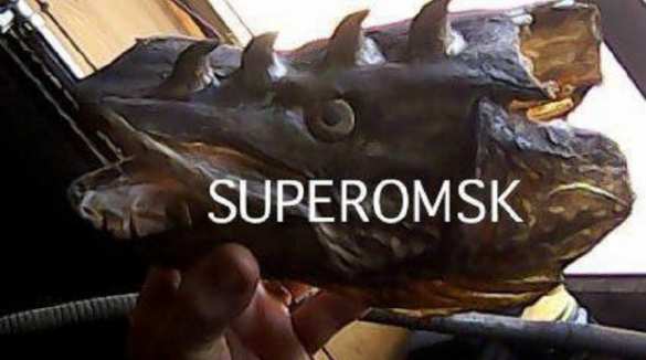 Матерь щук: в России поймали рыбу с рогами, похожую на дракона (ФОТО) | Русская весна