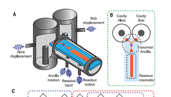 Ученые смогли «разрезать» кота Шредингера на две половины (ФОТО, ВИДЕО) | Русская весна