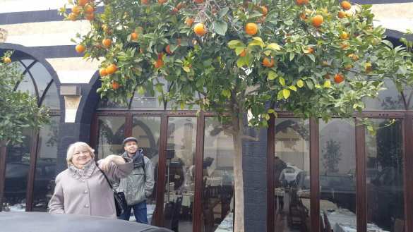 Пароль «руси»: Увидев русских, солдаты Сирии прикладывают руки к сердцам и отдают честь — репортаж (ФОТО, ВИДЕО) | Русская весна