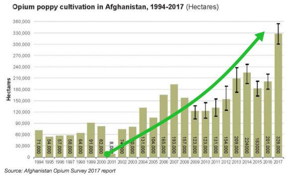 Белая смерть из Афгана: рост потока наркотиков достиг мирового рекорда  | Русская весна