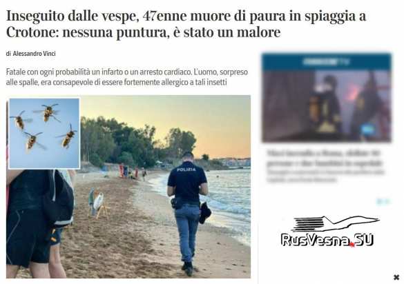 Украинец умер от страха на пляже в Италии, спасаясь от ос | Русская весна