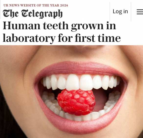 Революция в стоматологии — теперь зубы можно «выращивать» в лабораториях | Русская весна