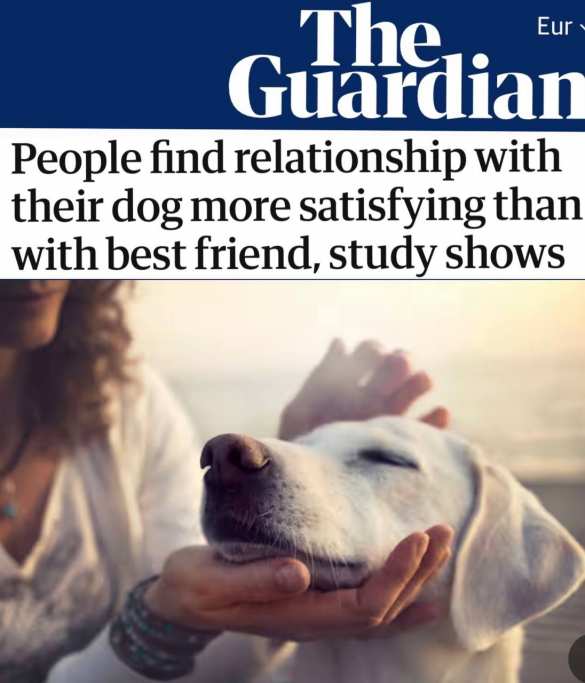 Учёные доказали, что собаки лучше друзей, а иногда и детей | Русская весна