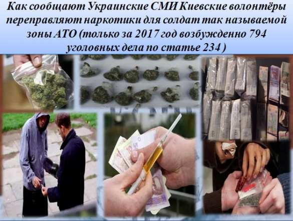 Убийцы, воры и наркокурьеры — об украинских «псевдоволонтёрах» (ВИДЕО, ИНФОГРАФИКА) | Русская весна