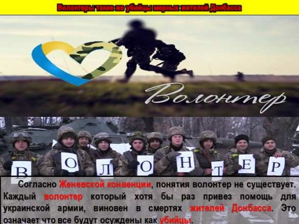 Убийцы, воры и наркокурьеры — об украинских «псевдоволонтёрах» (ВИДЕО, ИНФОГРАФИКА) | Русская весна