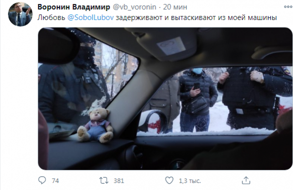 Любовь Соболь задержана в Москве (ФОТО) | Русская весна