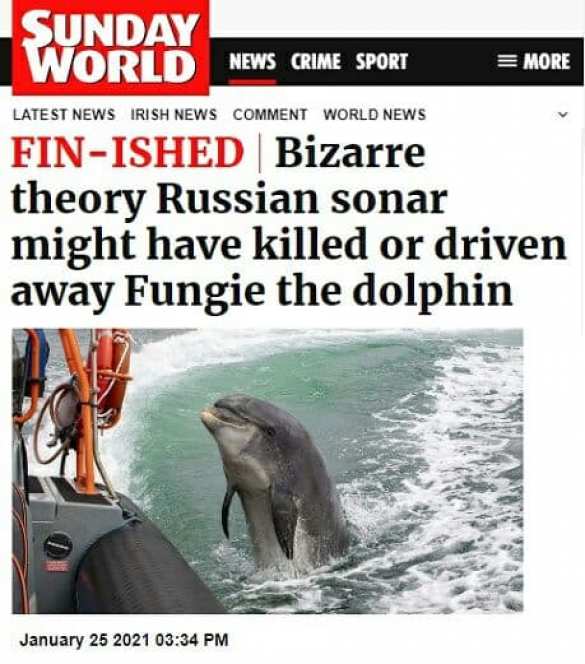 Удивительное рядом: Путина обвинили в исчезновении ирландской достопримечательности (ФОТО) | Русская весна