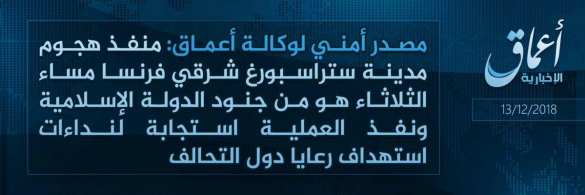 Страсбургский террорист ликвидирован, ИГИЛ сделало заявление (ВИДЕО, ФОТО 18+) | Русская весна