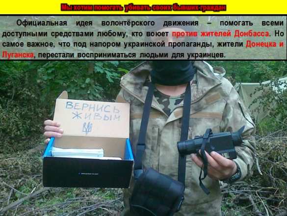 Убийцы, воры и наркокурьеры — об украинских «псевдоволонтёрах» (ВИДЕО, ИНФОГРАФИКА) | Русская весна