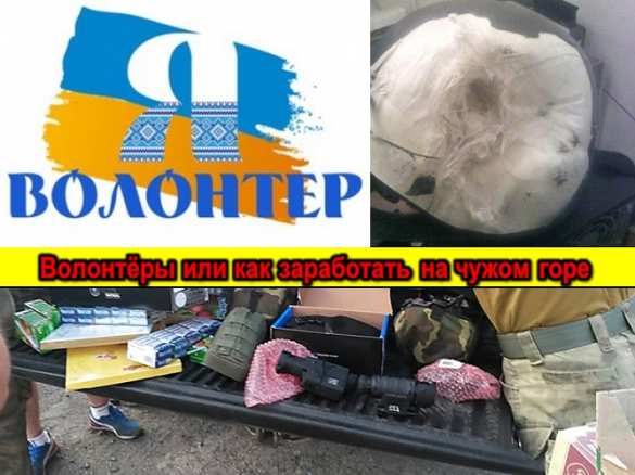 Убийцы, воры и наркокурьеры — об украинских «псевдоволонтёрах» (ВИДЕО, ИНФОГРАФИКА) | Русская весна