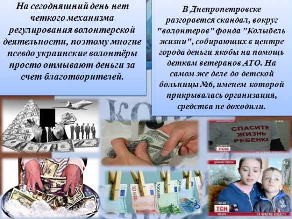 Убийцы, воры и наркокурьеры — об украинских «псевдоволонтёрах» (ВИДЕО, ИНФОГРАФИКА) | Русская весна
