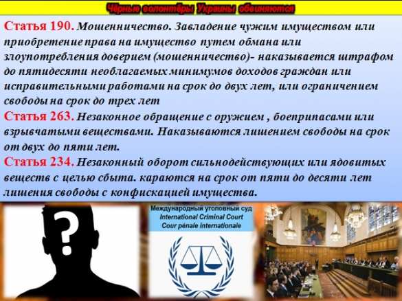 Убийцы, воры и наркокурьеры — об украинских «псевдоволонтёрах» (ВИДЕО, ИНФОГРАФИКА) | Русская весна