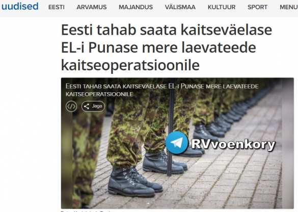 Эстония отправит одного солдата для защиты судов в Красном море от хуситов | Русская весна
