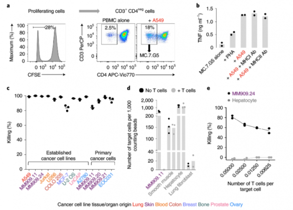 «Это шанс излечить каждого!» — учёные о прорыве в лечении всех видов рака | Русская весна