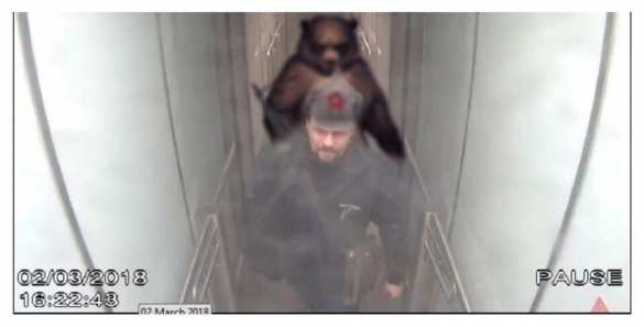 Лавров показал журналистам любимую шутку про «отравление Скрипалей» (+ФОТО) | Русская весна