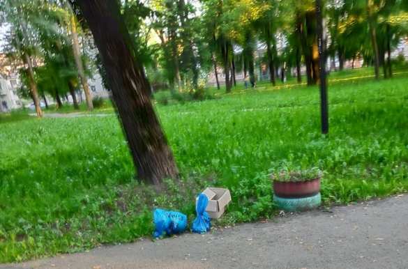 Бандиты атакуют «Укроп»: Кандидата в президенты Украины облили фекалиями и обещали убить семью (ФОТО, ВИДЕО) | Русская весна