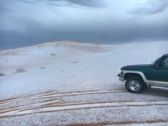 Катаклизм: снегопад в Саудовской Аравии ведет к катастрофам (ВИДЕО, ФОТО) | Русская весна
