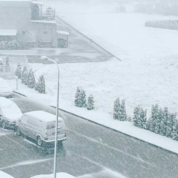 Восточную Европу накрыли резкое похолодание и снегопады (ФОТО, ВИДЕО) | Русская весна