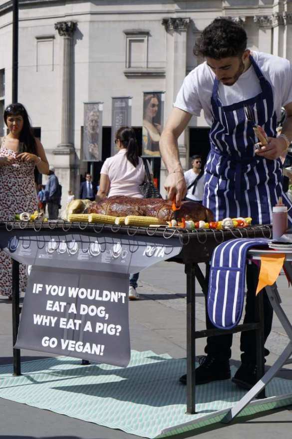 Их нравы: в Лондоне зоозащитная организация публично «зажарила собаку» (ФОТО) | Русская весна
