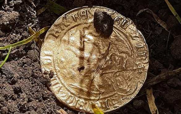 Заскучав на карантине, женщина нашла в своём саду клад (ФОТО) | Русская весна